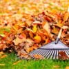 It's that time of year again. Learn how you can save money on raking leaves by doing the task yourself.