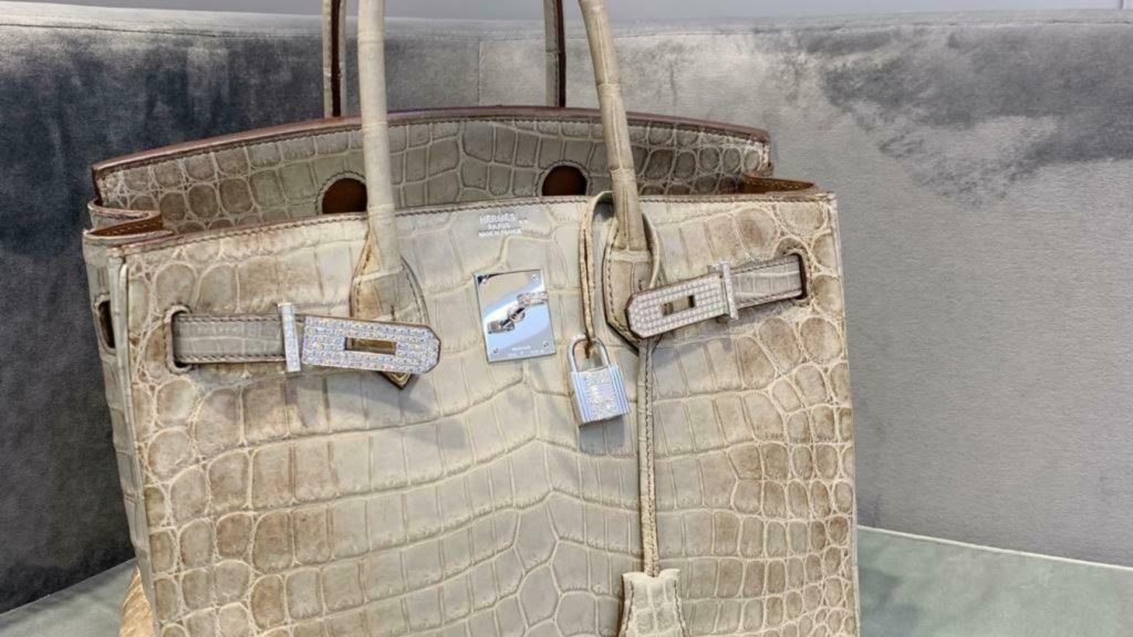 Hermès Birkin Bag Worth Over $9 Million Stolen at an Airport Check-In ...