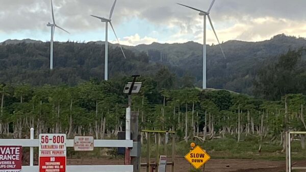 Windmills at Kahuku on the island of Oahu, Hawaii.