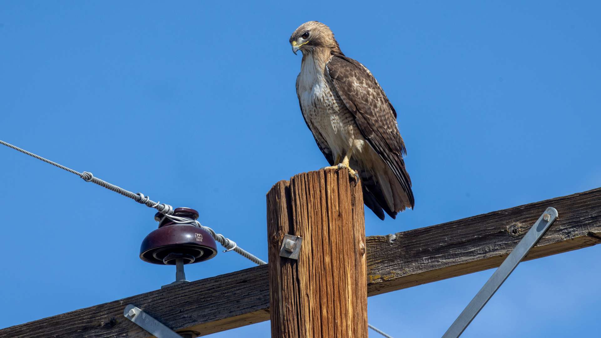 California Electric Company To Turn Off Power for Thousands of ...